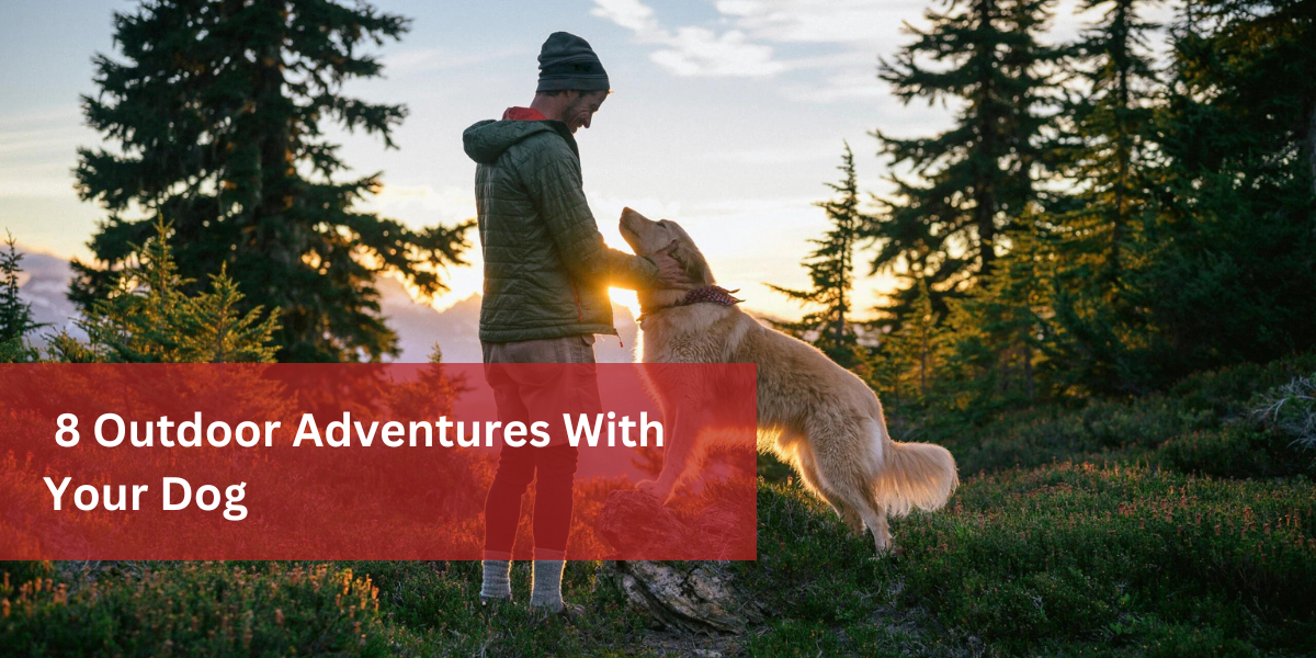 8 Outdoor Adventures With Your Dog